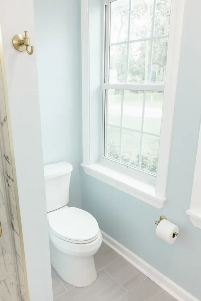 White toilet beside a gridded window in a light blue bathroom with brushed brass hardware in Jacksonville, FL.