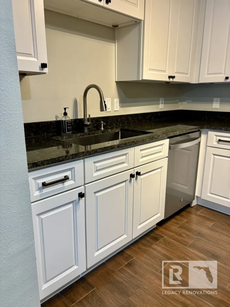 Modern kitchen featuring painted cabinets, polished black granite countertops, a stainless steel undermount sink, pull-down faucet, dishwasher, and wood-look tile flooring.